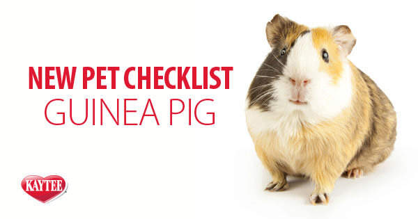 Kaytee New Pet Guinea Pig Checklist
