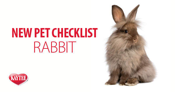 New Pet Rabbit Checklist