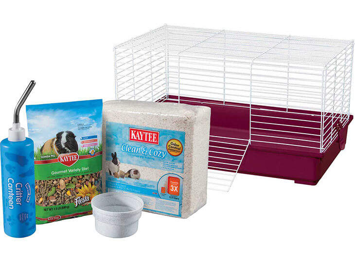 Guinea Pig Starter Kit