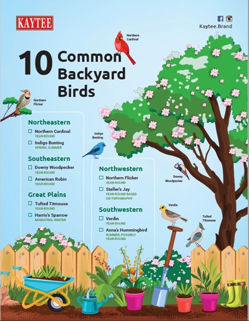 Kaytee 10 Common Backyard Birds