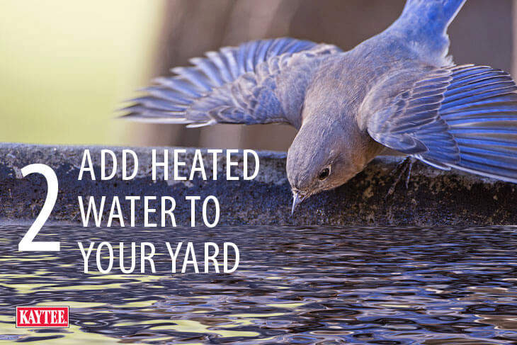 Add Heated Water to your Yard