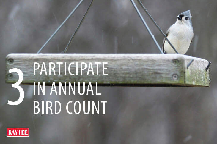 Annual Wild Bird Count