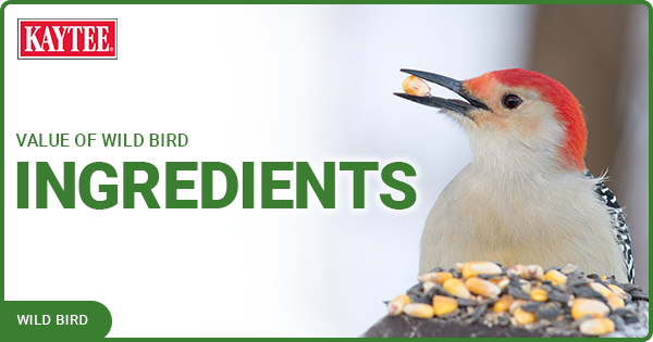 Kaytee value of Wild Bird Ingredients Food blog Post 