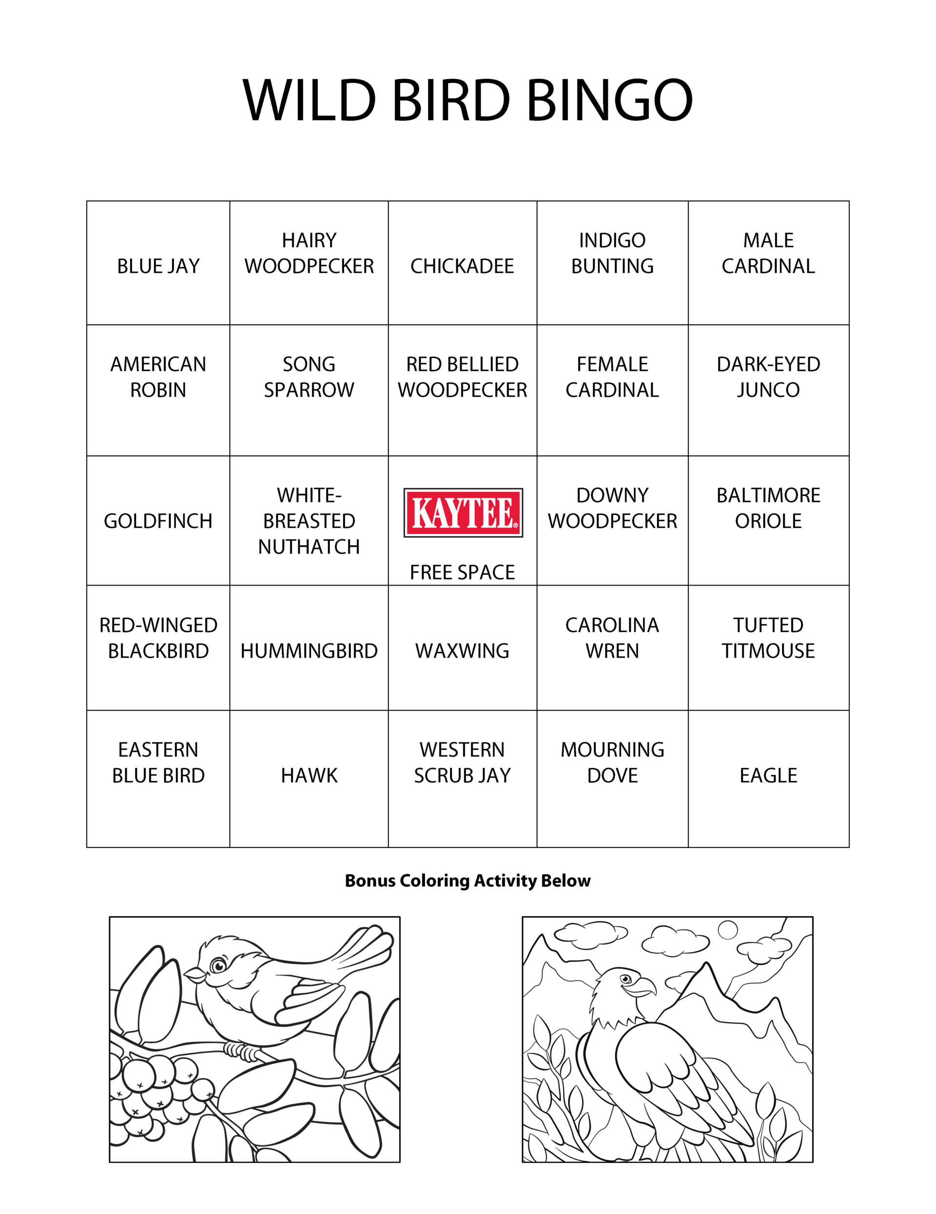 Wild Bird Bingo Game Sheet