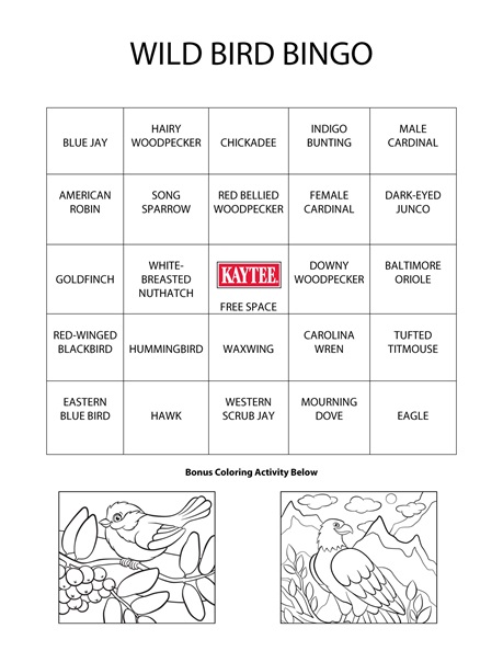 Wild Bird Bingo Game Sheet