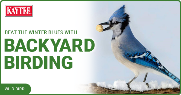 Kaytee Wild Bird Blog