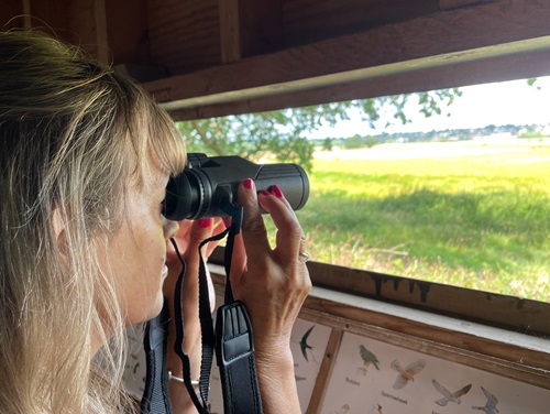 Kaytee Wild Bird Blog Bird Identification by Color