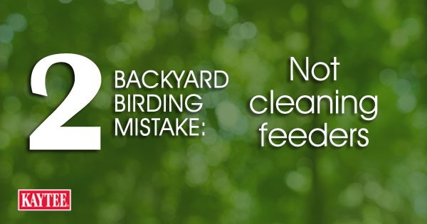 Not cleaning bird feeders