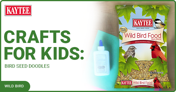 Kaytee Wild Bird Crafting for Kids