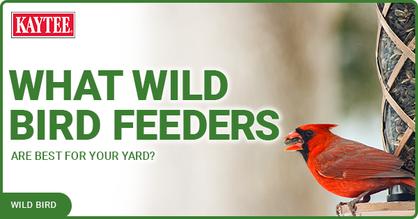 Kaytee What Wild Bird Feeders Are Best For Your Yard blog