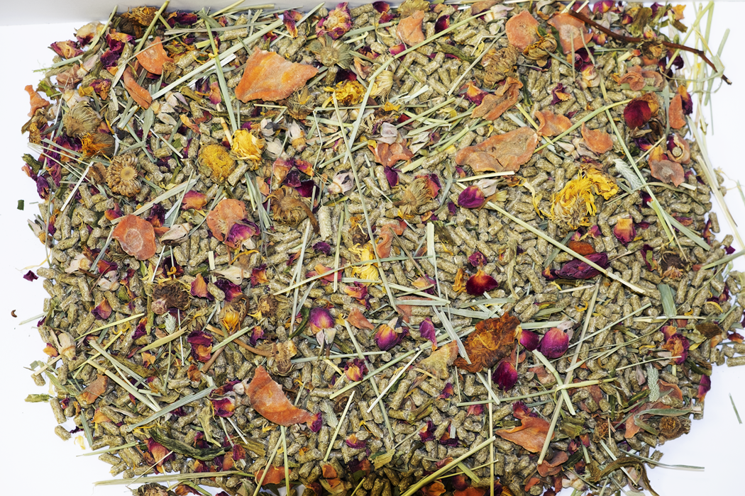 Wild Rabbit Food. Amazon Food From The Wild | Rabbit