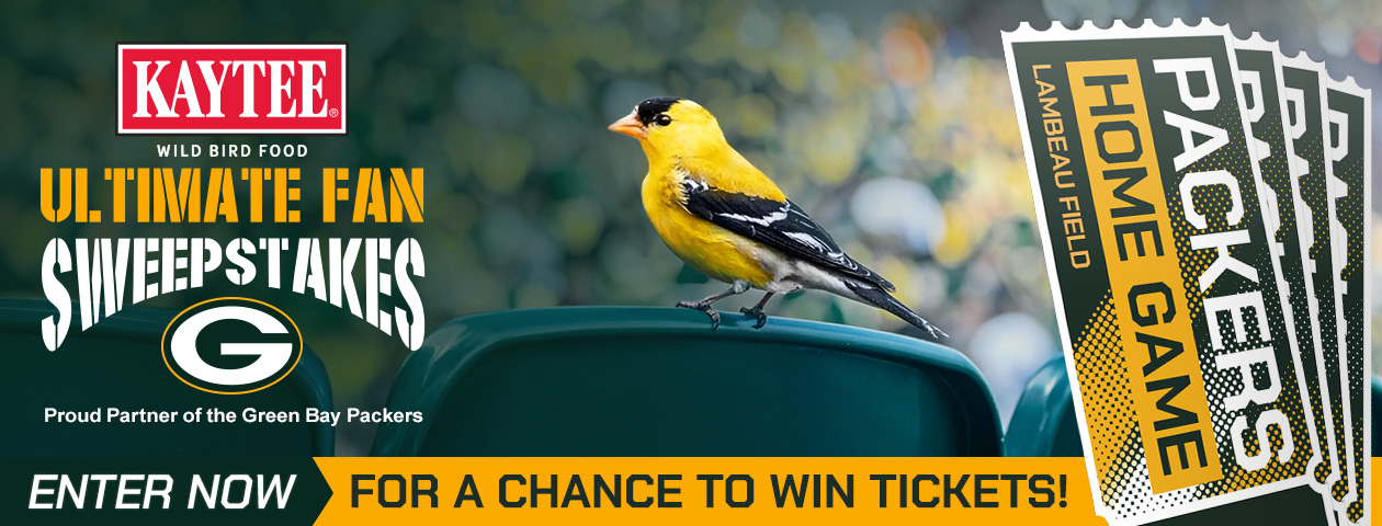 KT_WB_Packers26_BirderHub_Tix