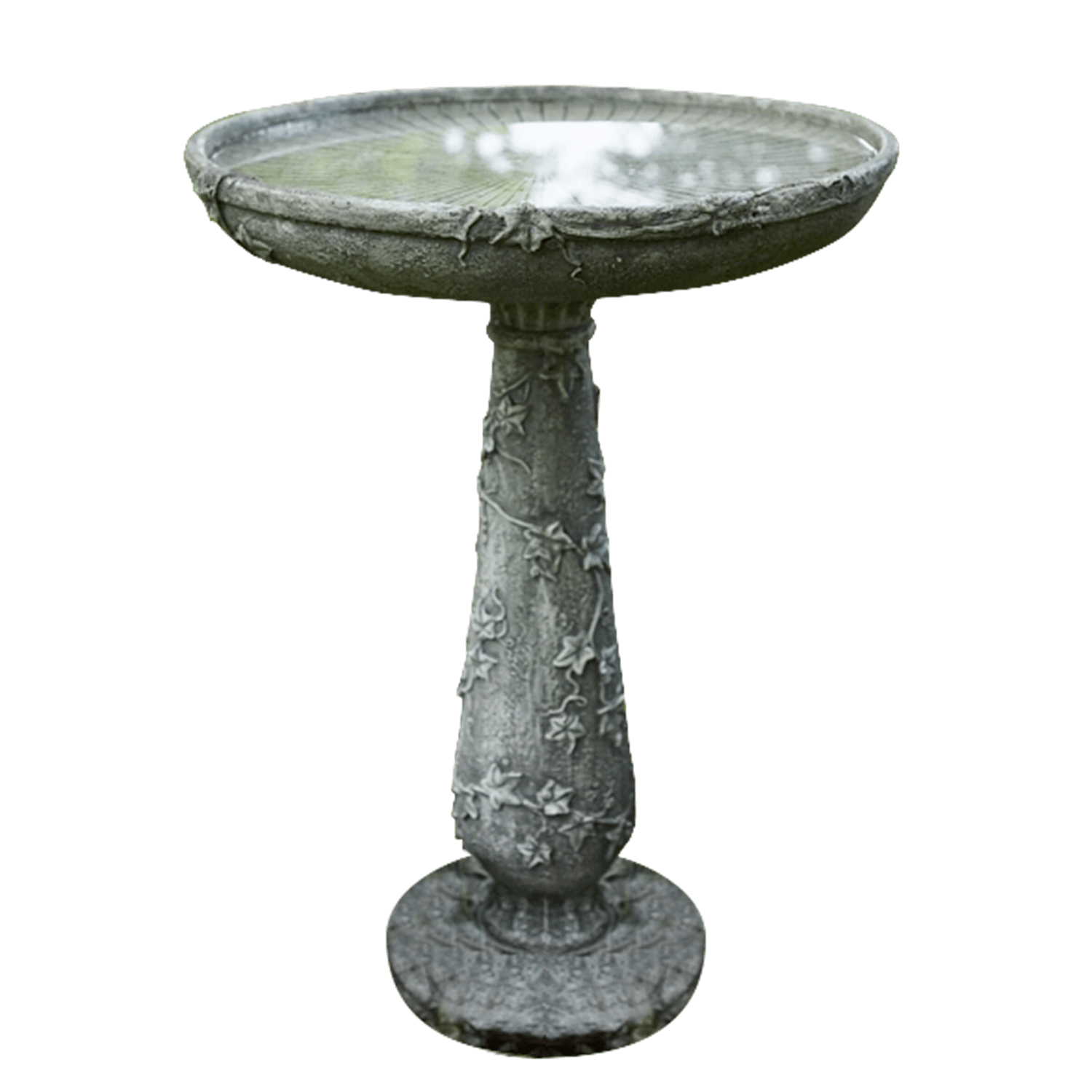 Bird Bath
