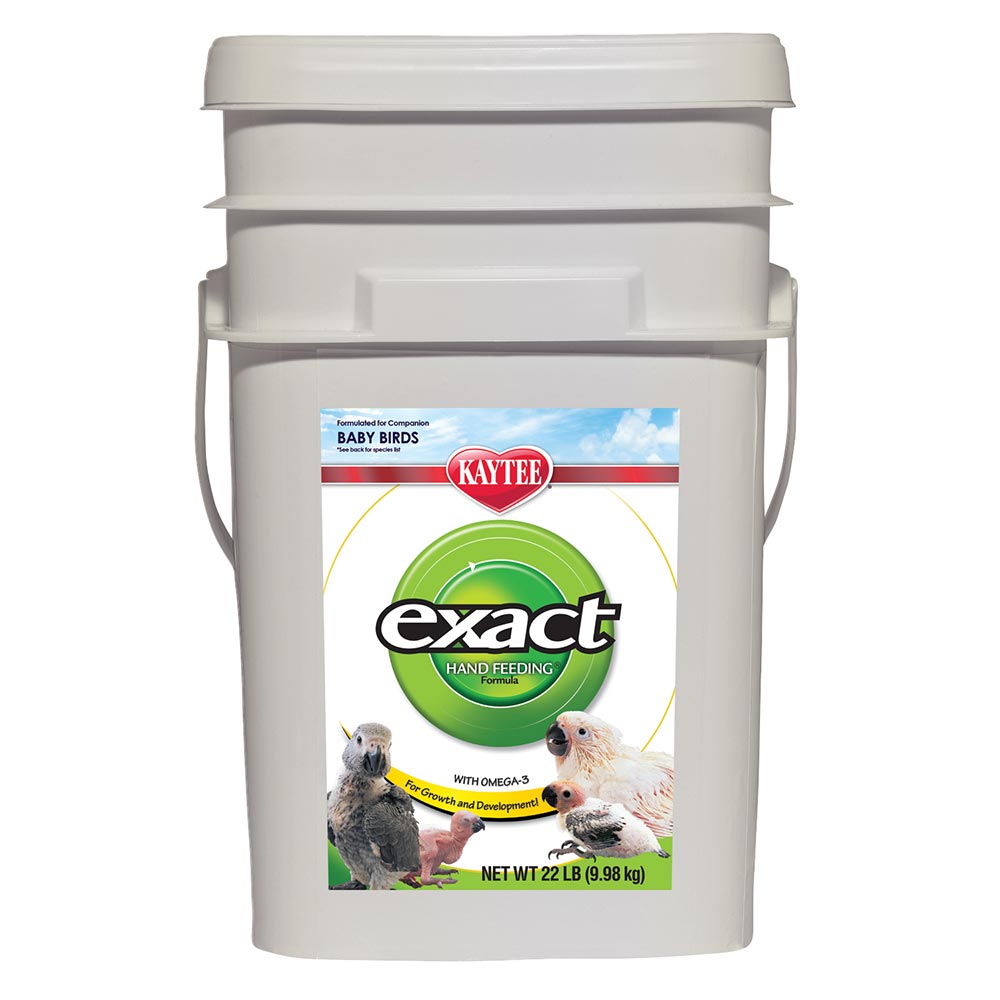 Exact parrot sale food