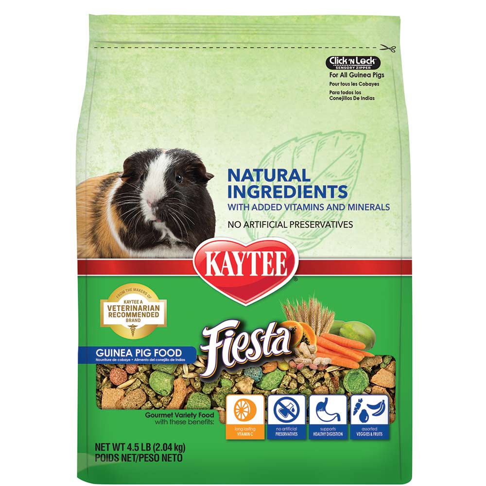 Guinea pig food kaytee discount