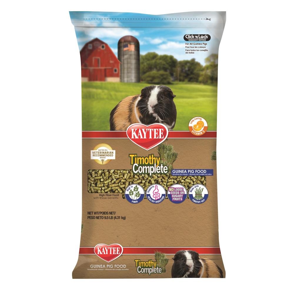 Kaytee guinea pig best sale food